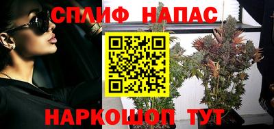 гидра Ярославль