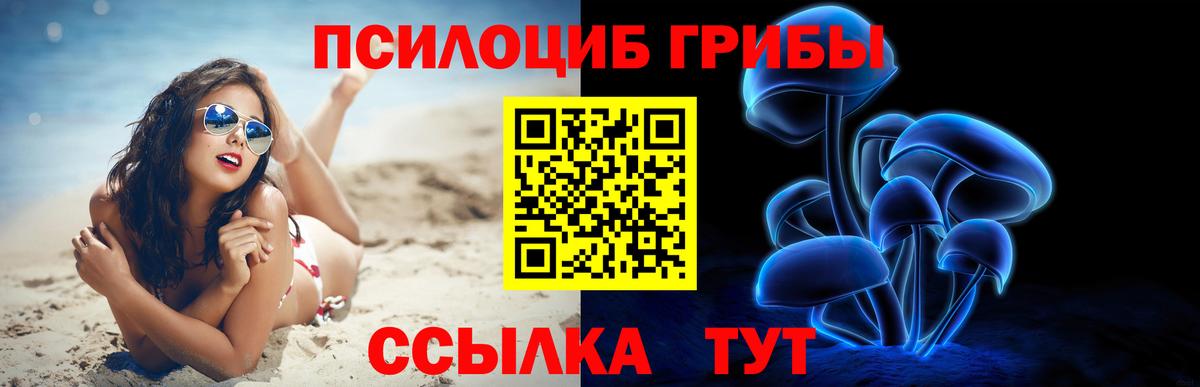 Братск  Псилоцибиновые грибы GOLDEN TEACHER  Вход с VPN  где купить   Галлюциногенные грибы ЛСД 